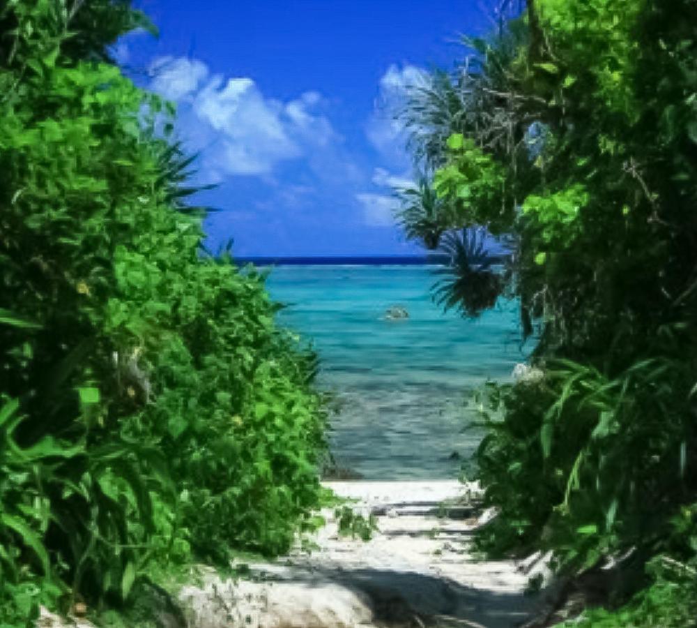 Palm Villa Ishigakijima Yugafu Ishigaki  외부 사진