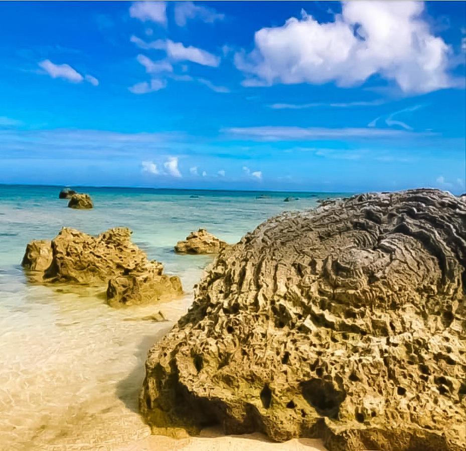 Palm Villa Ishigakijima Yugafu Ishigaki  외부 사진